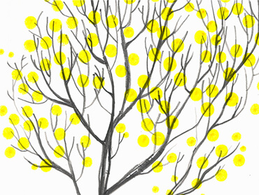 Dotty Tree