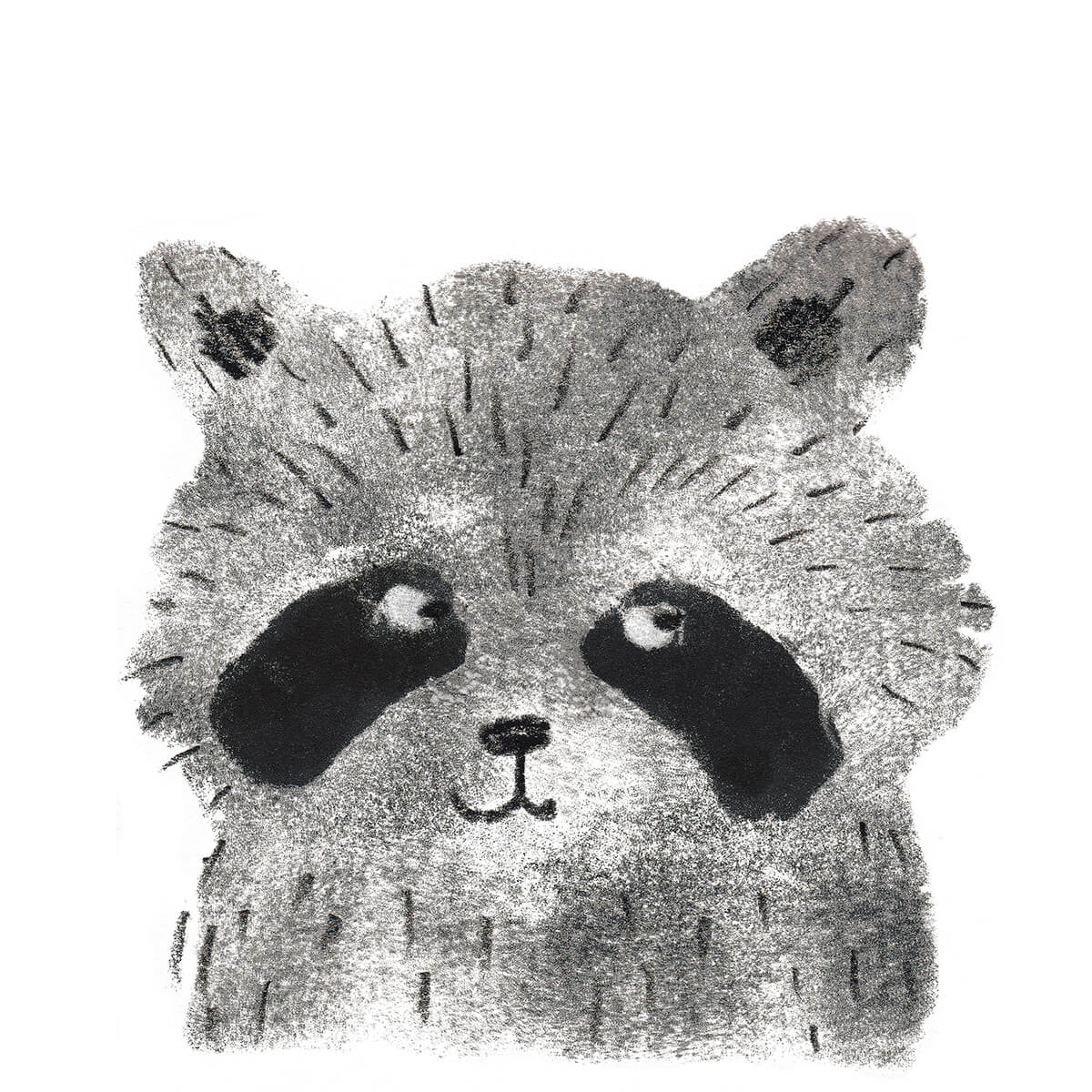 Raccoon_high_res