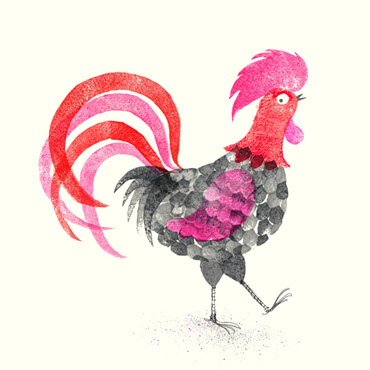 Rooster